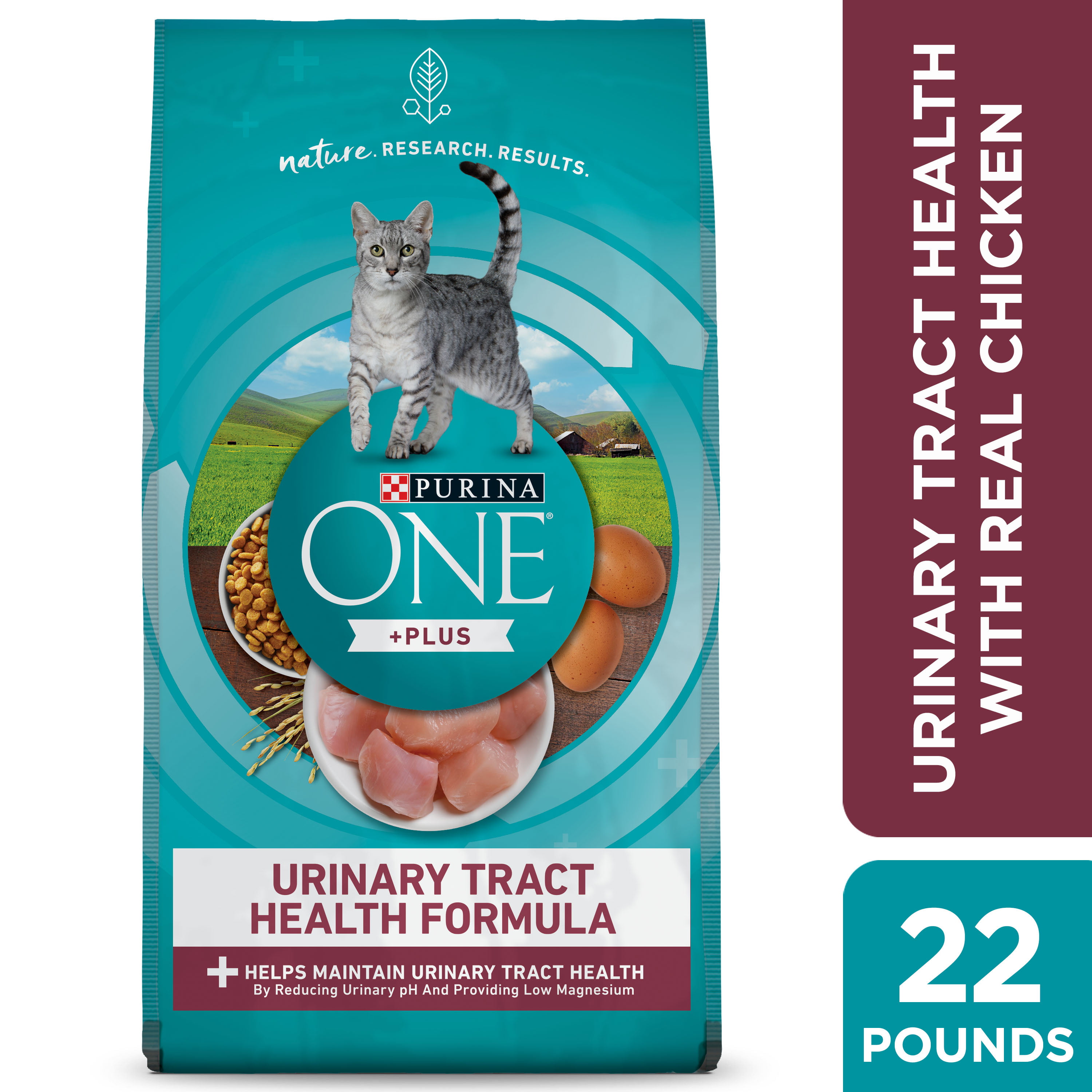 Purina ONE High Protein, Healthy Weight Dry Cat Food, +Plus Ideal