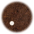 thumbnail image 3 of Premium New Zealand Tree Fern by Gardenera Labs - Orchid and Epiphytal Plants Growing Medium and Reptile Substrate - 2 Quart Bag, 3 of 6