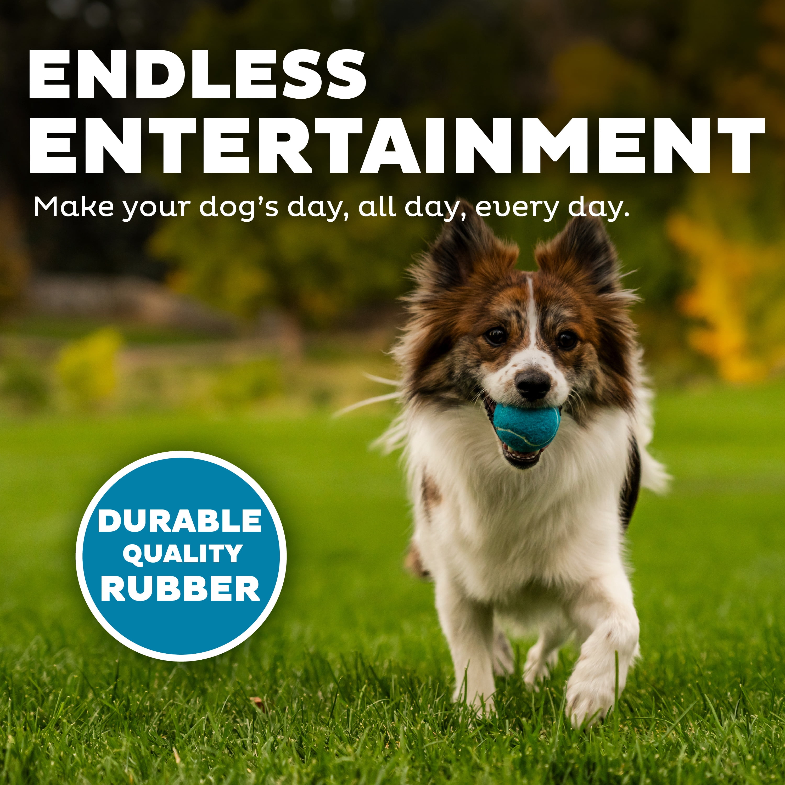 Outward Hound Squeaker Ballz – Squeaky Tennis Balls for Dogs Under 25 lbs, Interactive Dog Toy for Fetch & Training, Small (2"), 8‑Pack