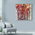 thumbnail image 3 of Trademark Fine Art 'Mixed Bouquet IV' Canvas Art by Tim OToole, 3 of 4