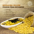 thumbnail image 3 of Pride Of India - Indian Split Yellow Pigeon Peas - Protein & Fiber Rich Toor (Arahar) Dal, 3.0 Pound Jar, 3 of 6