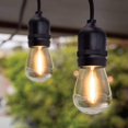 thumbnail image 3 of Feit 48' LED Filament String Light Set-Black, 3 of 4