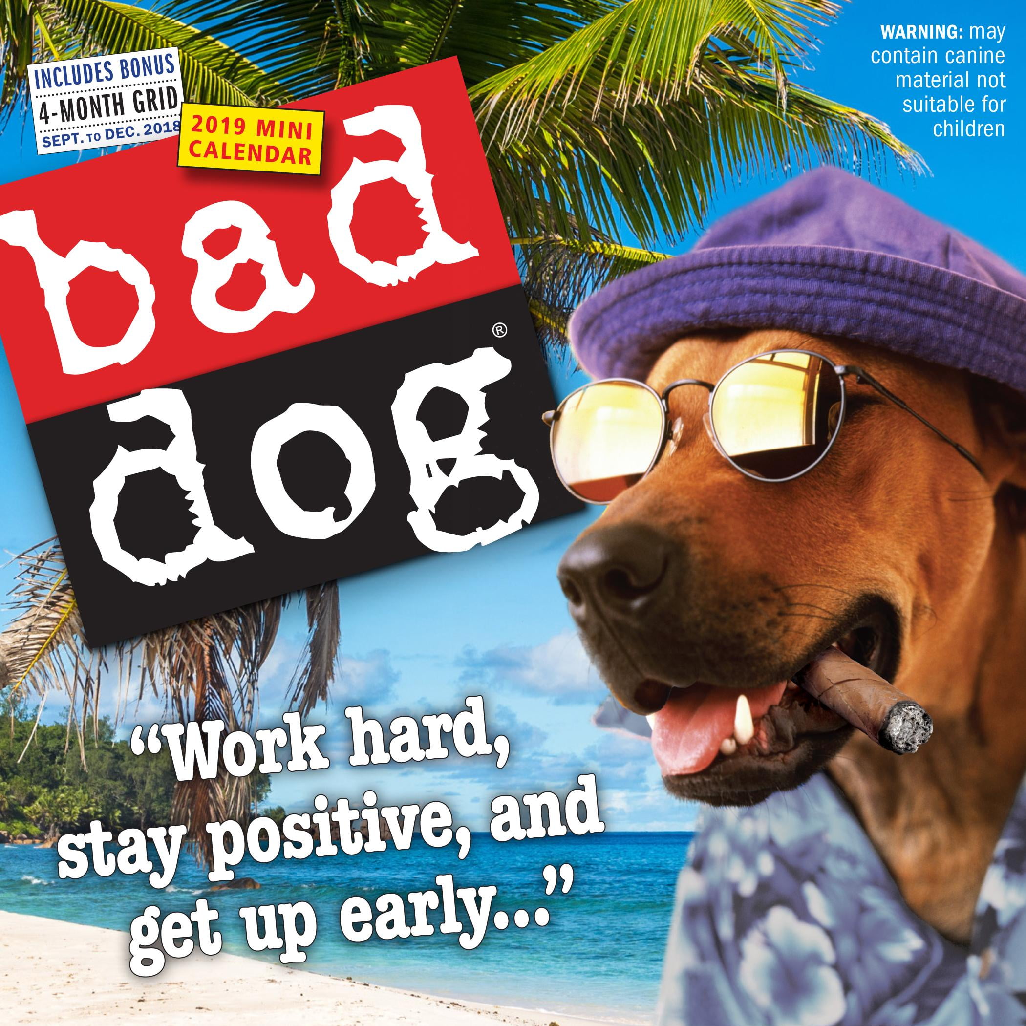 Bad Dog Mini Wall Calendar 2019 (Other) - Walmart.com - Walmart.com