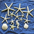 thumbnail image 5 of DVKOVI Mini Ocean Resin Animals Starfish Seashell Tiny Sea Models for Miniatures DIY Fish Tank Micro Landscaping One Size, 5 of 5