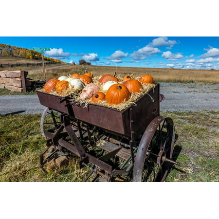 Display of Halloween Pumpkins, Hastings Mesa, Colorado - near Ridgway Print Wall Art