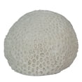 thumbnail image 4 of Lampe d'Accent en Résine LED de 6 Pouces en Forme de Corail, Lumière Décorative pour Table de Mer, Décoration Nautique pour la Maison, 4 of 5