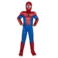 thumbnail image 2 of Disfraz Jazwares Costume Play Marvel Spider-Man Youth Red, 2 of 5