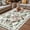 White, variant on Pink Spring Floral Outdoor Rug for Patio/Deck/Porch, Non-Slip Large Area Rug 6 x 9 Ft, Elegant Pastoral Flowers Birds Watercolor Indoor Outdoor Rugs Washable Area Rugs, Camping Rug Carpet Runner