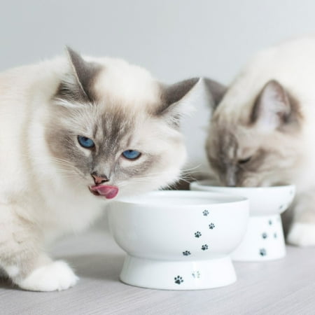 Necoichi Raised Cat Water Bowl, White