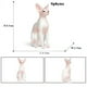 thumbnail image 3 of Figura de acción de gato siamés Devon Rex Sphynx Ragdoll persa de Oenux, figura de gato bobtail, linda decoración, juguete de regalo para niños, 3 of 5