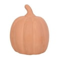 thumbnail image 2 of Something Different Terracotta Pumpkin Halloween Decoration, 2 of 3