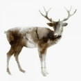 thumbnail image 3 of Selkirk, Edward 12x12 Black Modern Framed Museum Art Print Titled - Stag, 3 of 5