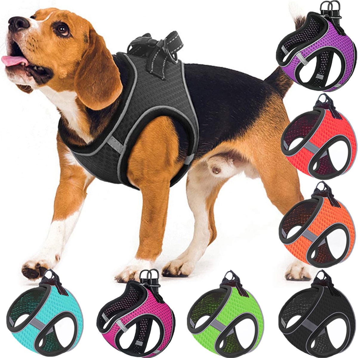 kong walking harness