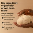thumbnail image 3 of Lions Mane Supplement Capsules - Nootropic Brain Support Supplement, Lions Mane Extract - 120 Vegan Bacopa Monnieri, Gotu Kola, Ginseng Capsules - Focus Memory Support, 3 of 4