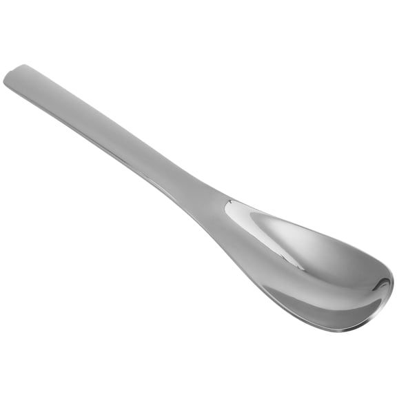 VERDANVERSE Silver Stainless Steel Dessert Spoon for Kitchen Food Serving and Ice Cream Scooping