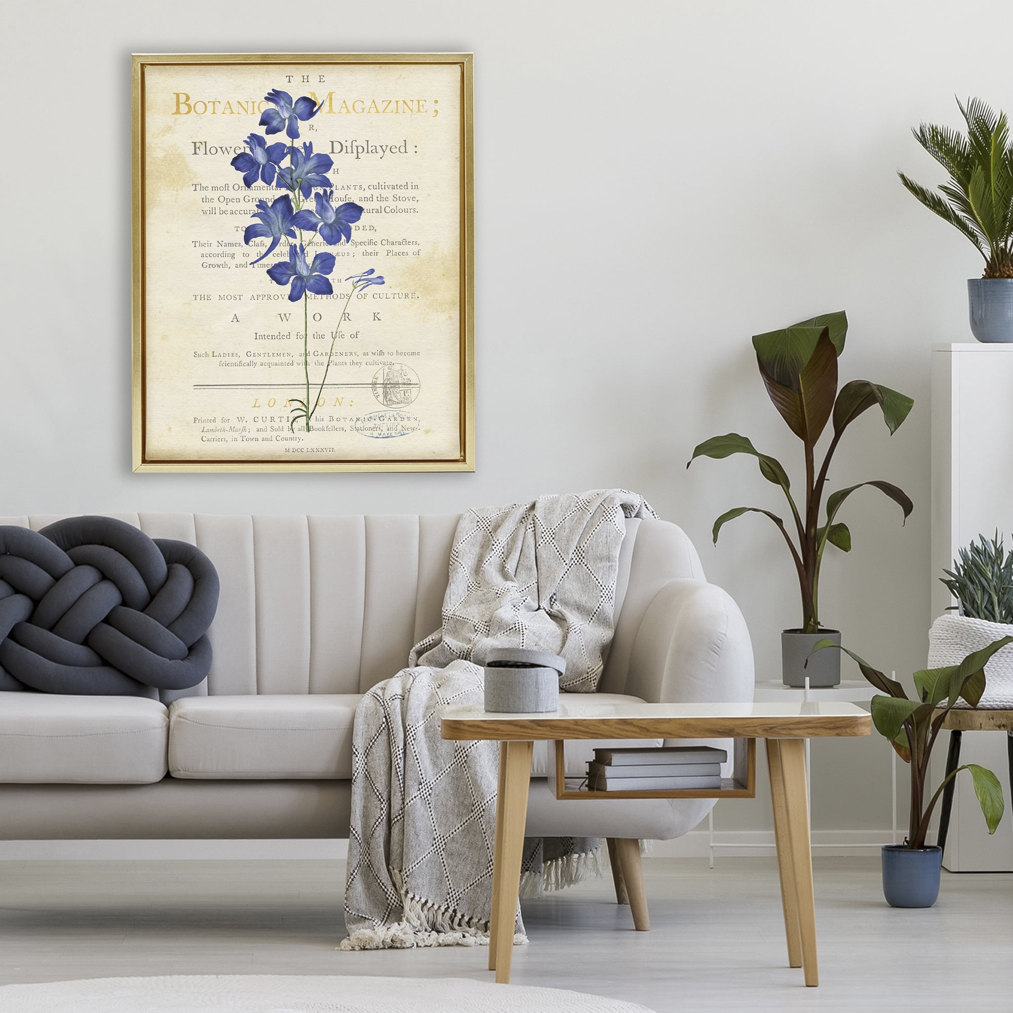 Stupell Industries Natural Botanic Garden Flower Gold Framed Floater Canvas Wall Art, design by Susan Arnot