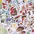 thumbnail image 3 of IKemiter Sticker Scrapbooking Supplies Beautiful Adhesive Decorative Sticker For Gift Packaging Notebooks, 3 of 5
