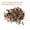 Brown, variant on Uxcell 100g/0.22lb 5mm to 7mm Natural Tumbled Chips Decoration Stones for Aquarium Plants Vase Fillers, Black