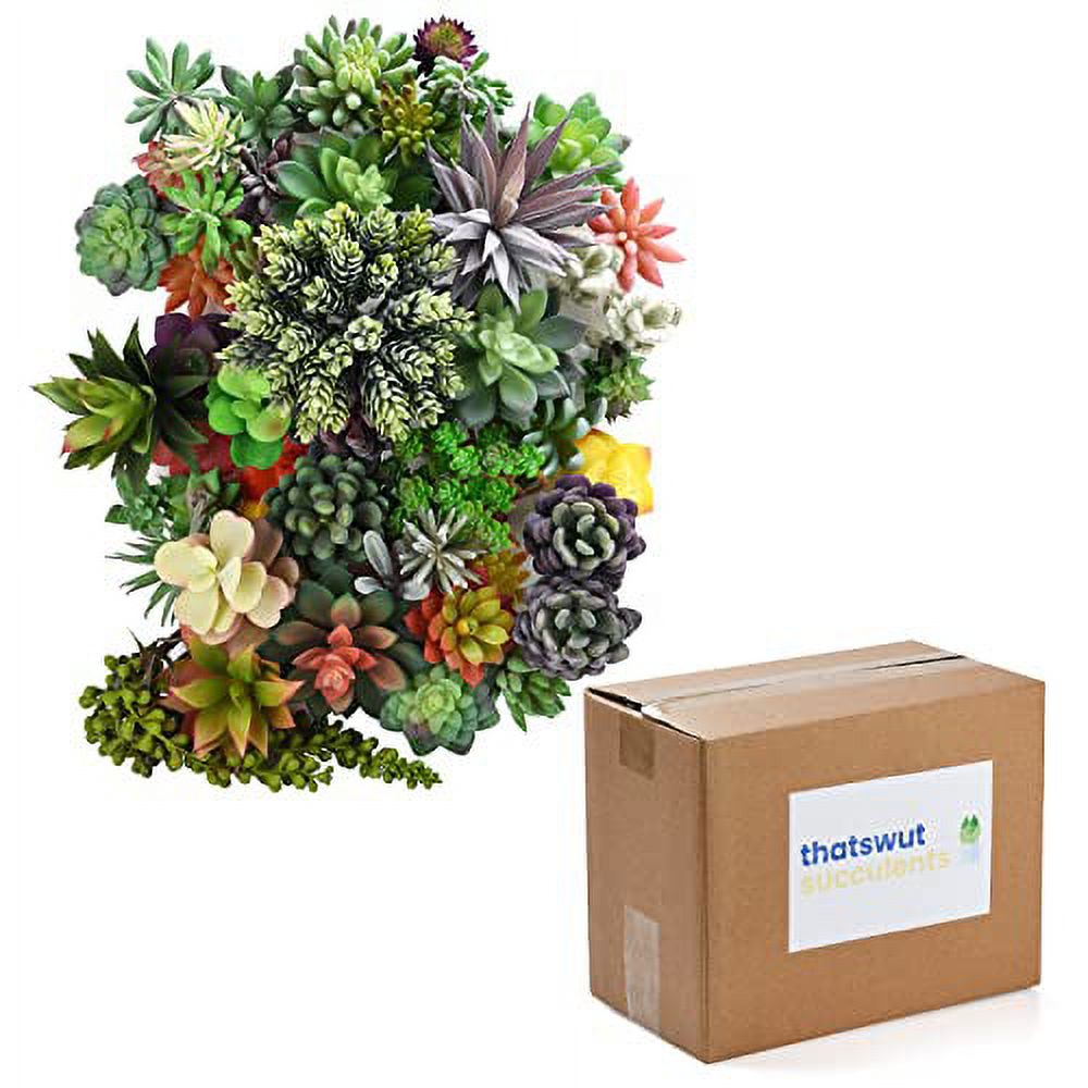 50 Pack Bulk Large Assorted Realistic Artificial Faux Succulents Aloe Plants Realistic Fake Succulent Plants, Largest Set of Succulents