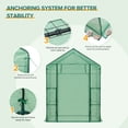 thumbnail image 3 of EAGLE PEAK 61'' x 28'' x 79'' Walk-in Greenhouse with 2 Tier 4 Shelves, Zipper Entry Door, and 2 Side Windows, 3 of 8