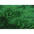 thumbnail image 1 of Ahgly Company Indoor Rectangle Patterned Deep Emerald Green Area Rugs, 5' x 8', 1 of 6