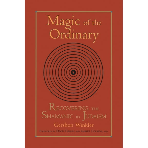 Magic of the Ordinary: Recovering the Shamanic in Judaism, (Paperback)