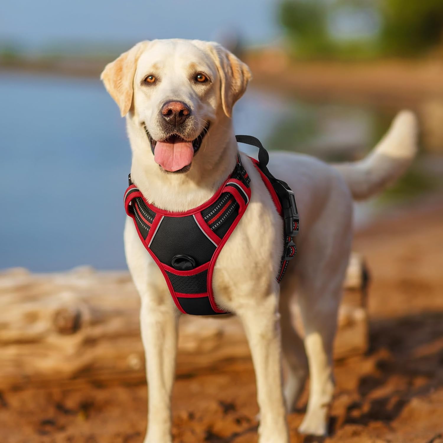rabbitgoo Dog Harness, No-Pull Pet Harness with 2 Leash Clips, Adjustable Soft Padded Dog Vest, Reflective Outdoor Pet Oxford Vest with Easy Control Handle for Large Dogs, Black & Red