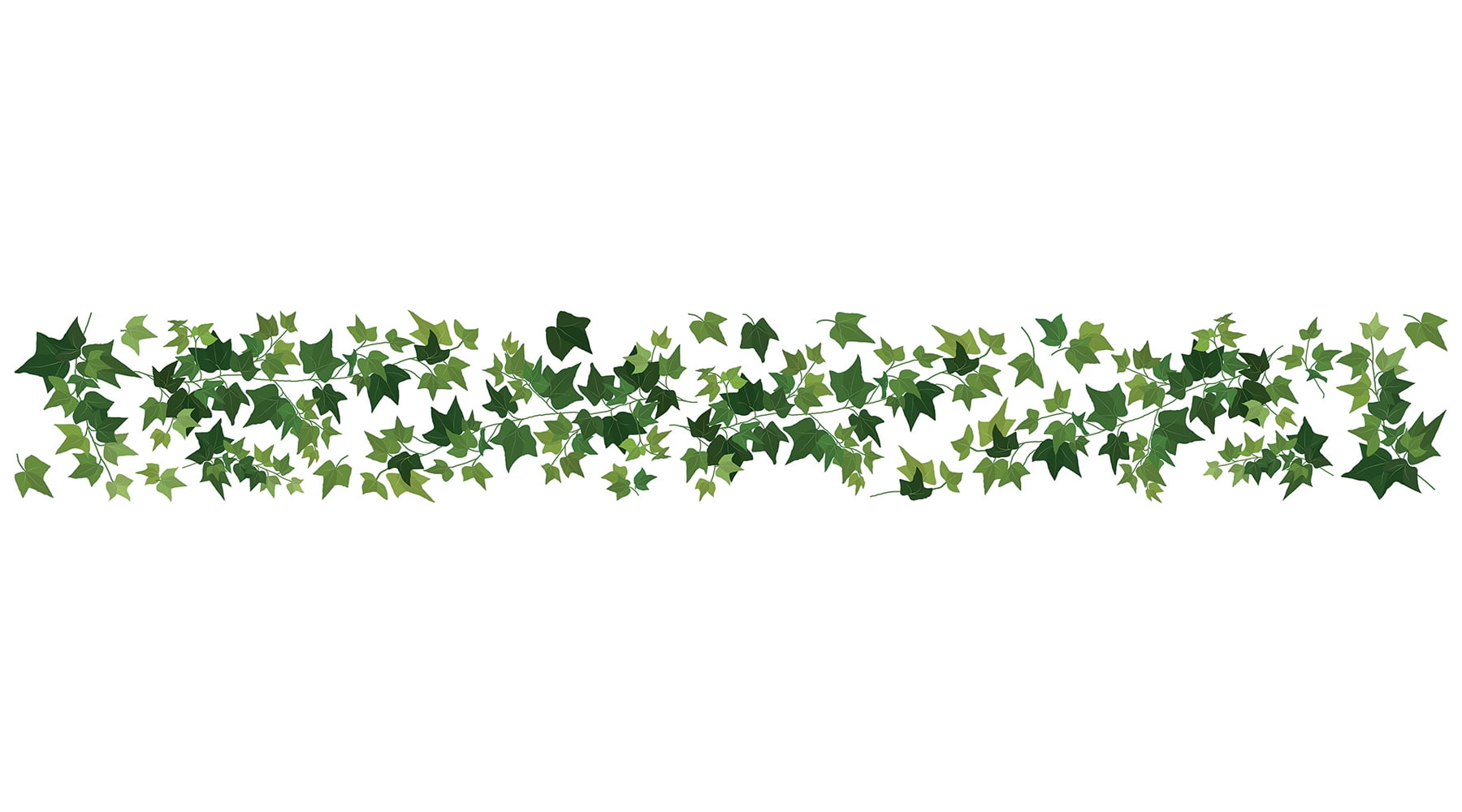Home Decor Line Ivy Border Decal