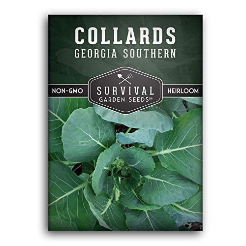 Survival Garden Seeds 1 Packet Southern Collard Greens Seed