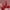 Red, variant on RuiJiao Jump Rope, Training Ropeless Skipping Rope for Fitness, Multifunctional Home Fitness Equipment, Cordless Jump Rope for Men Women