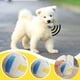 thumbnail image 1 of Fiudx Juguete Masticable para Mascotas, de Algodón Natural, Suave y Seguro para Perros, Pelota Interactiva con Sonido, Limpieza Dental y Alivio de Presión, para Perros Pequeños y Medianos, de 6,5 a 9, 1 of 1