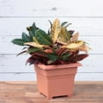 thumbnail image 4 of Root & Vessel Countryside Tub Planter, Terra, 14", 4 of 4