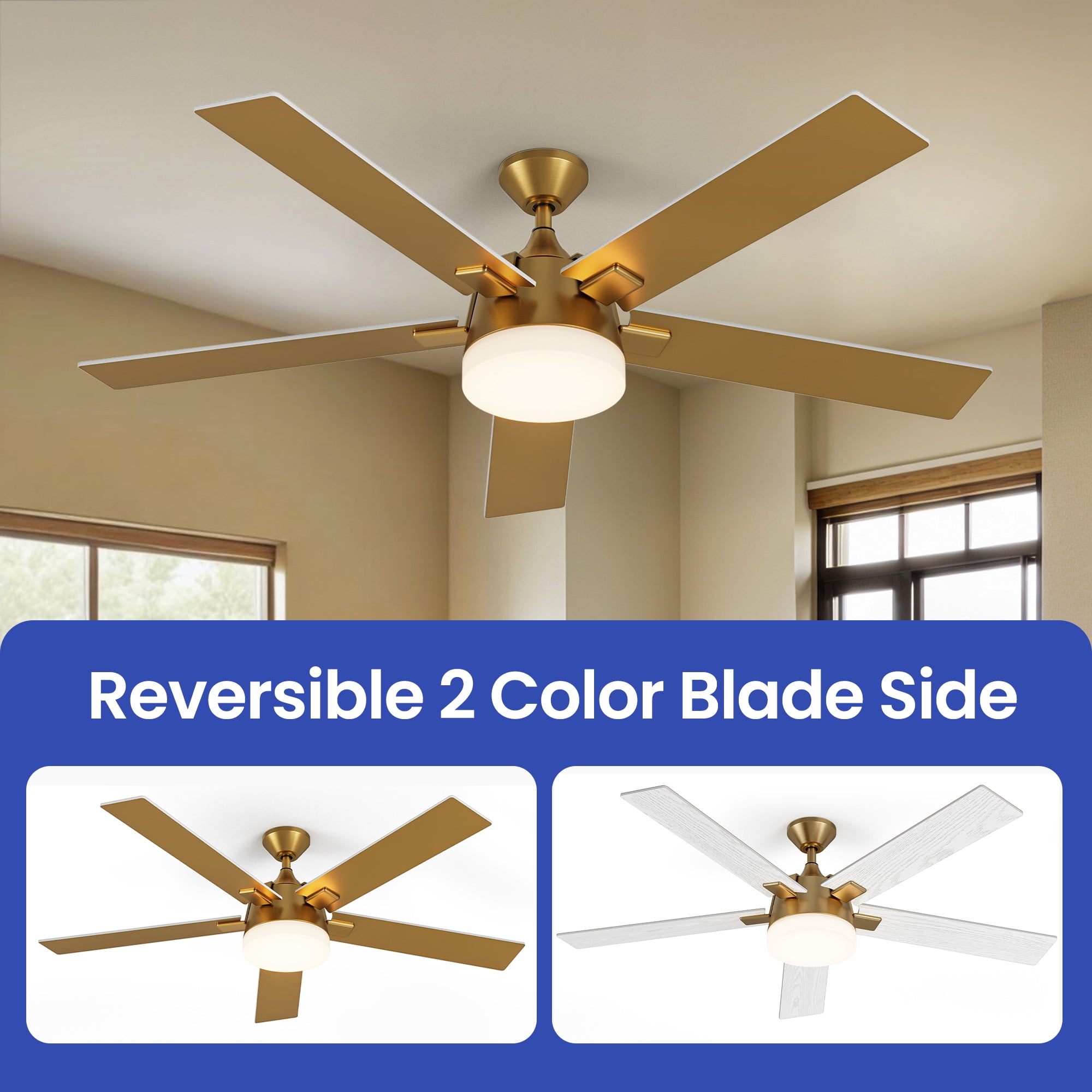 ModFusion 52-Inch Dual Style Ceiling Fan, White and Gold Blades, Remote Control, Reversible Motor