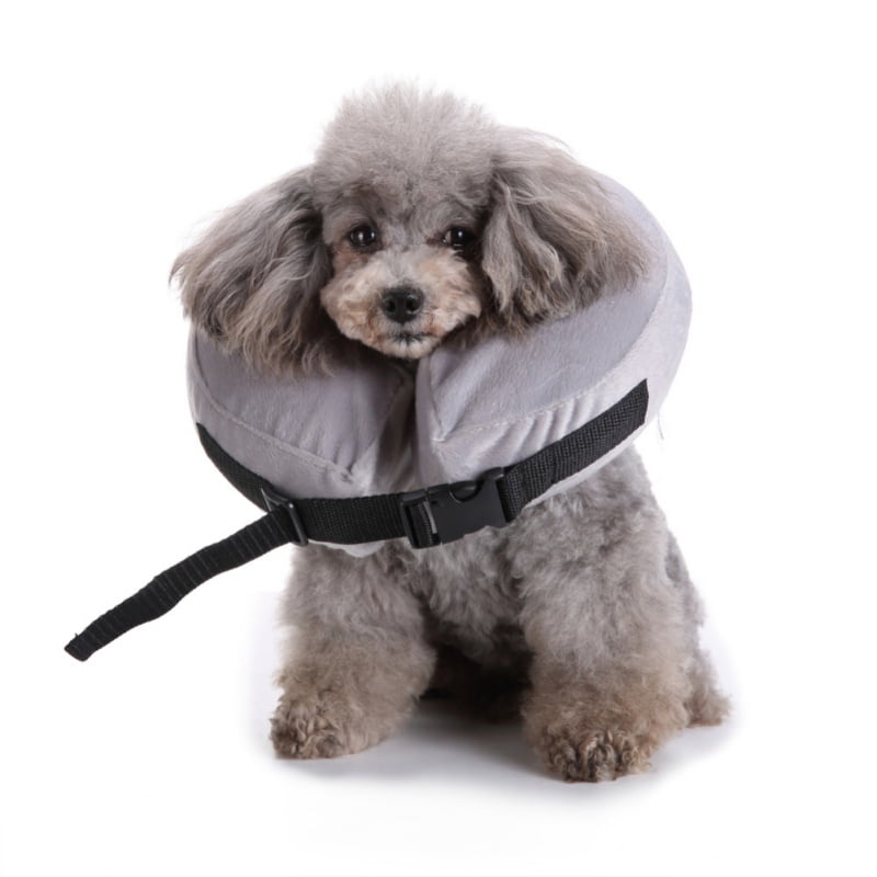 Inflatable dog collar target Clearance