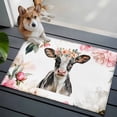 thumbnail image 3 of Pink Cow Entryway Rug 2'x3'&nbsp; Non Slip Front Door Mats, Watercolor Flowers Spring Floral Entrance Rugs Indoor Outdoor Carpet, Washable Floor Mats Small Area Rug for Bedroom Kitchen, 3 of 8