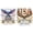 2PCS-1, variant on FLOPESN DIY  Diamond Artwork  USA pattern  the 250th Anniversary  Ornament, 9.84*9.84 inch, Acrylic Material Irregular Shape Desk Decor