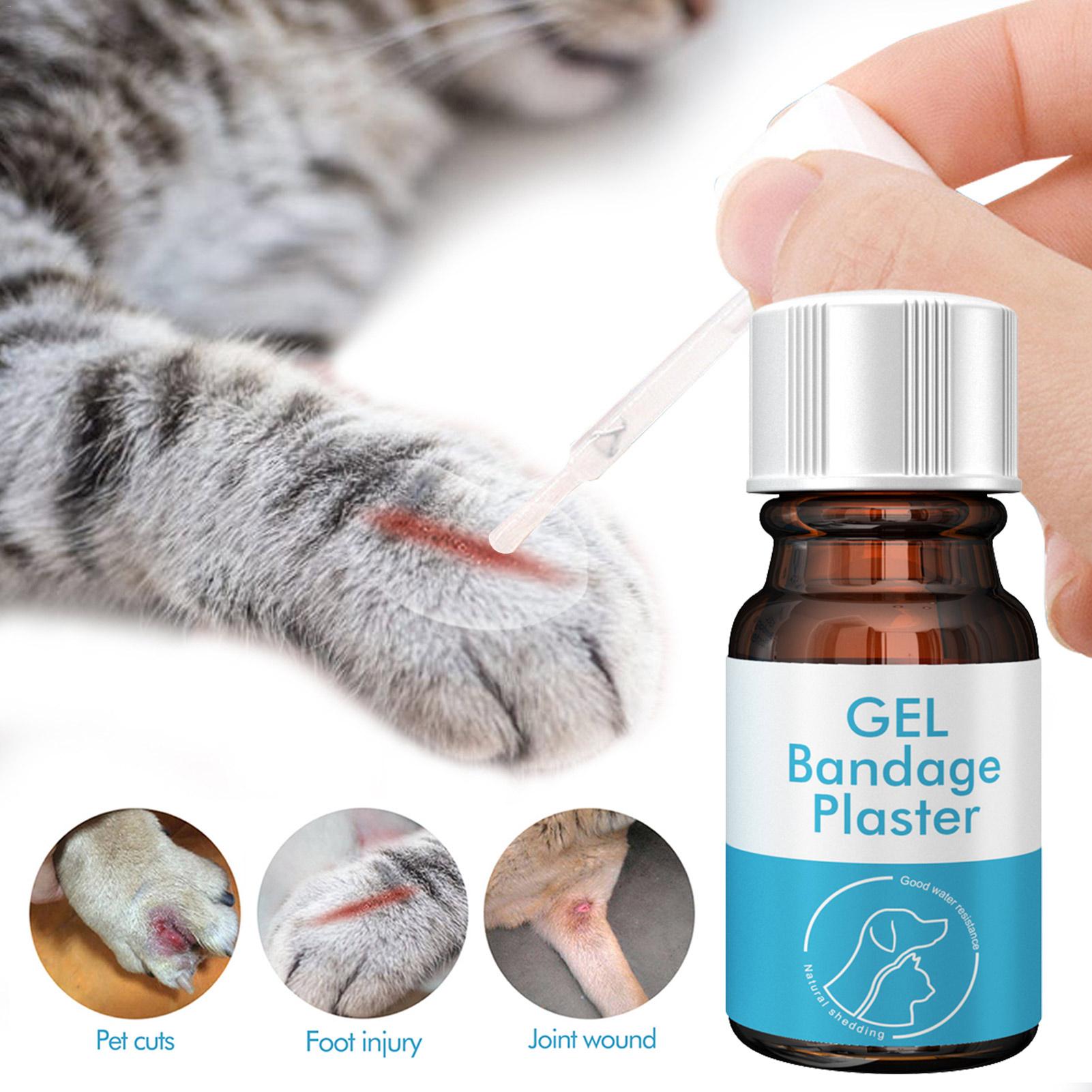 Are Liquid Bandages Safe For Dogs