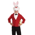 thumbnail image 1 of Disfraz de conejo blanco para niños, conejito de cuento de hadas, personaje de Halloween, Fun Shack fun shack, 1 of 2
