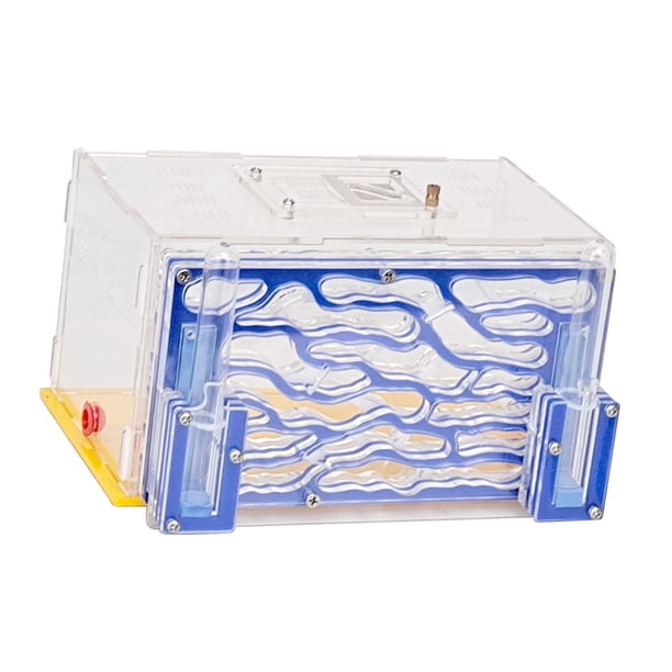 Fosa Maison de Fourmis, Villa de Fourmis, Villa Nid de Fourmis en Acrylique Maison de Ferme Formicarium pour l'Alimentation des Fourmis Fosa Maison de Fourmis, Villa de Fourmis, Villa Nid de Fourmis en Acrylique Maison de Ferme Formicarium pour l'Alimentation des Fourmis