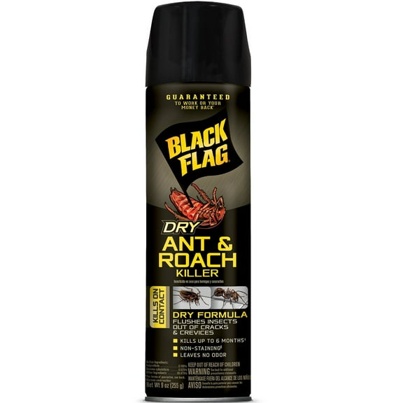 Black Flag Dry Ant and Roach Killer Aerosol Spray - 9 oz - 12-Count