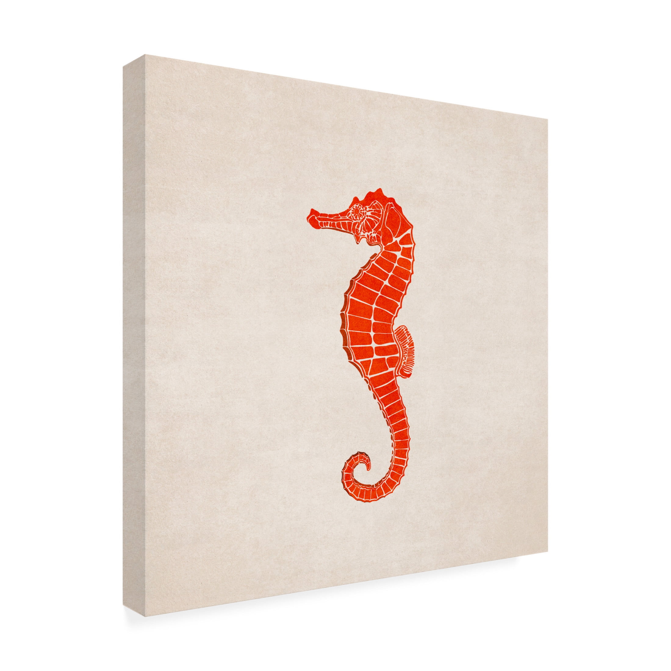 Trademark Fine Art Emel Tunaboylu Sea Horse Canvas Wall Art