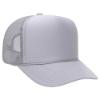Silver Grey