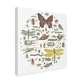 thumbnail image 2 of Trademark Fine Art 'Insect Circle II Bright' Canvas Art by Wild Apple Portfolio, 2 of 4