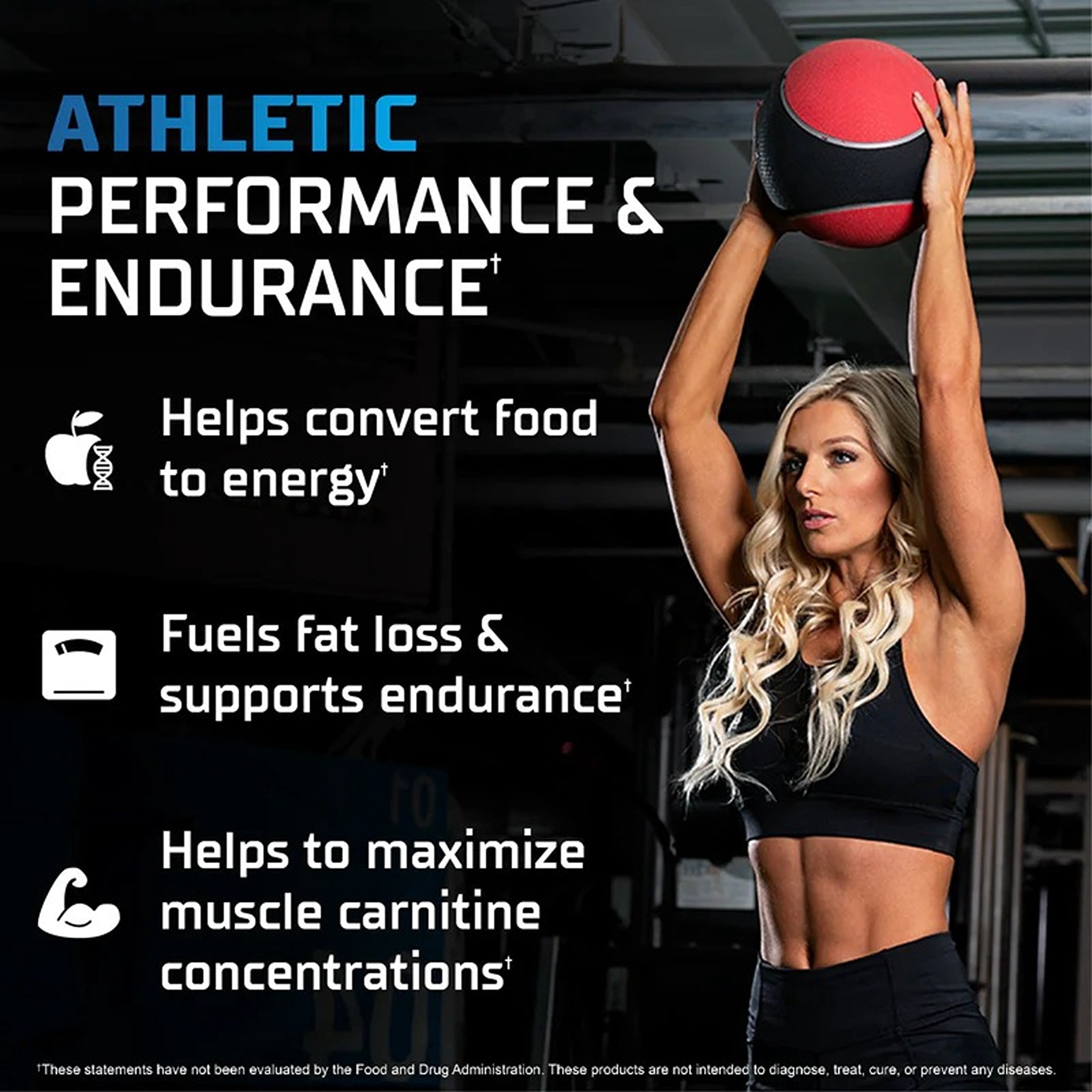 GAT SPORT L-CARNITINE 3000 mg, Green Apple, 16 oz (32 Servings)