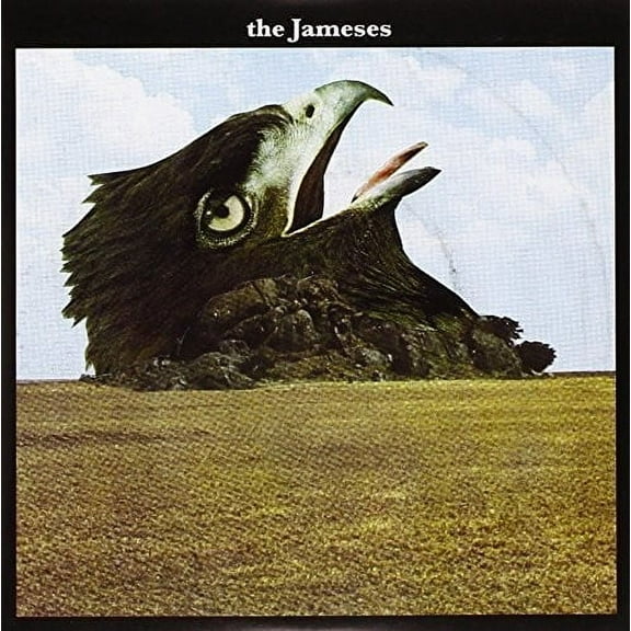 Jameses - Caribou - Music & Performance - Vinyl [7-Inch]