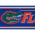 thumbnail image 1 of Florida Gators NCAA Fan Sports Wallpaper Border Retro Design, Roll 15' x 7'', 1 of 3