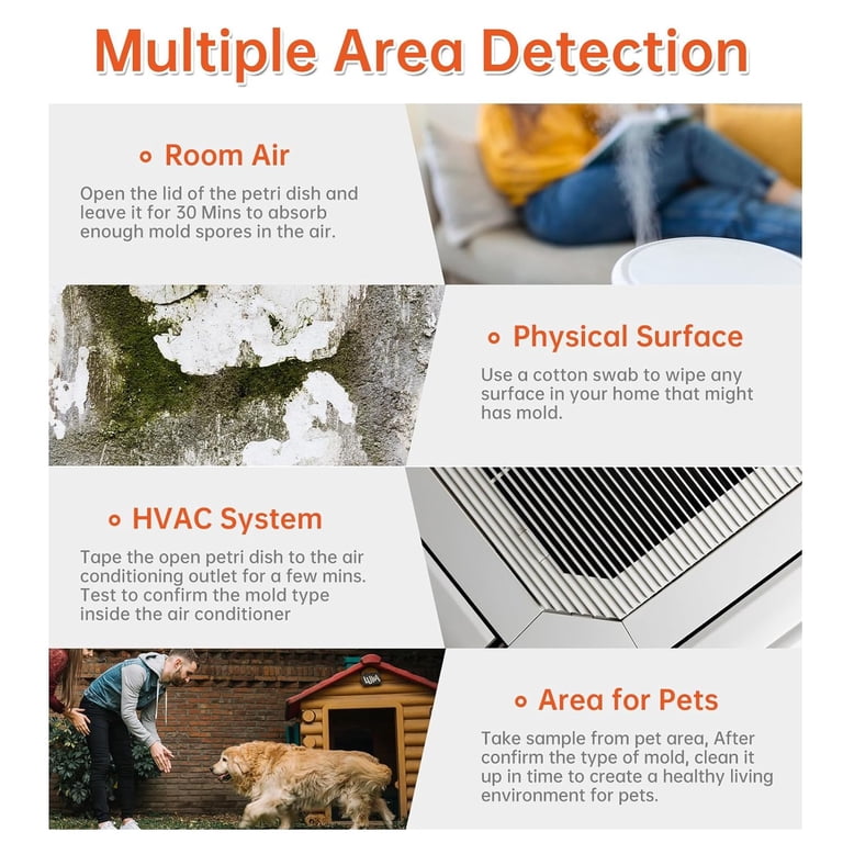 anlab Vormtestkit voor thuis - doe-het-zelf schimmeldetector | HVAC-systeem testen | Home oppervlakken | Testkit voor binnenluchtkwaliteit - identificatiegids inbegrepen - apart verzegeld (artikelen