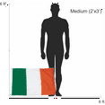 thumbnail image 3 of Lewis Irish Coat of Arms Heavy Duty Outdoor Ireland Flag - 2'x3', 3 of 4