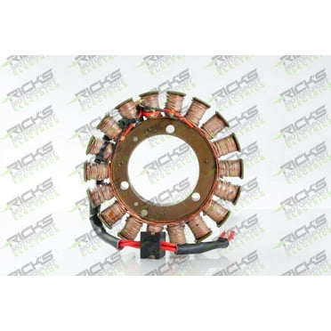 Ricks Motorsport Electric - 21-218 - Stator