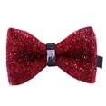 thumbnail image 1 of Minnieouse Lazos de diamantes de imitación, corbatas de cristal, corbata Ornamental brillante, pajarita de moda para novio, accesorio de ropa Accesorios de disfraces veinte, 1 of 6